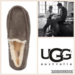 MENS!! UGG Ascot Suede Slipper {Espresso} 9